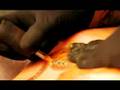 videos de Graffiti Ephin Apparel Commercial #4