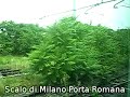 Cintura sud da Porta Romana a Romolo