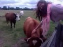 De koeienfluisteraar De koeienfluisteraar
