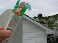 Oh~~My cheese stick.. cockatoo Oh~~My cheese stick.. cockatoo