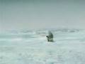 videos de cool