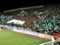 OMONOIA-aek...GATE 9 COREO