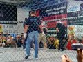 B�rdosi S�ndor VS Dietz \"C�pa\" Guszt�v