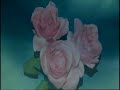 Yours- a psychedelic music experience