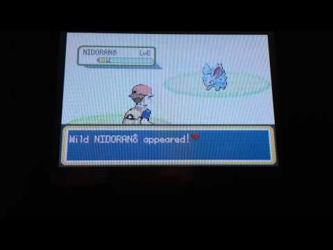 Nidoran