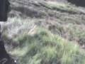 videos de pacote da crf.3gp