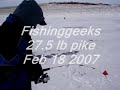 27.5 lb Northern Pike (fishinggeeks.net)