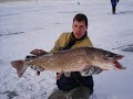 27.5 lb Northern Pike (fishinggeeks.net)