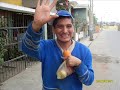 CHACALON JR. Y LOS CHINCHONES DE CONO SUR - PENAS DEL CORAZON CHACALON JR. Y LOS CHINCHONES DE CONO SUR - PENAS DEL CORAZON