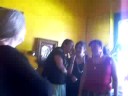 Pollos 1