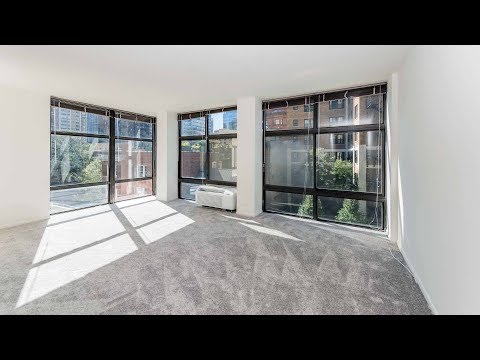 A sunny Gold Coast 1-bedroom steps from Oak Street beach A sunny Gold Coast 1-bedroom steps from Oak Street beach