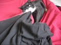 Pip goes crazy