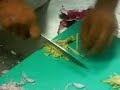 ashish video resume