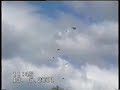 pigeon roller