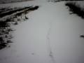 videos de Explanada de nieve virgen