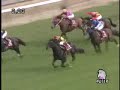 2008 ??? NIKKEI SHO