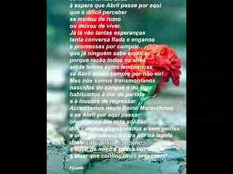 Vou Te Amar - Bruna Karla