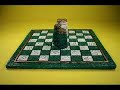 Julia Delaney/Star of Munster Chess