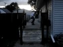ANTHONY skate bordin ANTHONY skate bordin