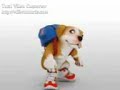 Perro Chacarron