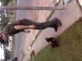 cachorrinha cachorrinha