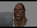 ARENA Expression and FaceRobot -- SIGGRAPH 08