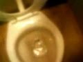 videos de Courtney's Name Tag Flushed