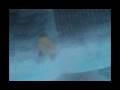 videos de Rukia's Apology