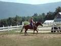 videos de Connor Mountain View Ranch