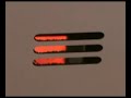 Steel Facts and WTC Collapse (Part One) Steel Facts and WTC Collapse (Part One)
