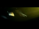 NFS Undercover Trailer-Teaser 01.mp4