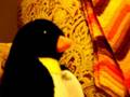 videos de Johannes und Martin Staffel 1 Folge 3: Vergessene Ereignisse
