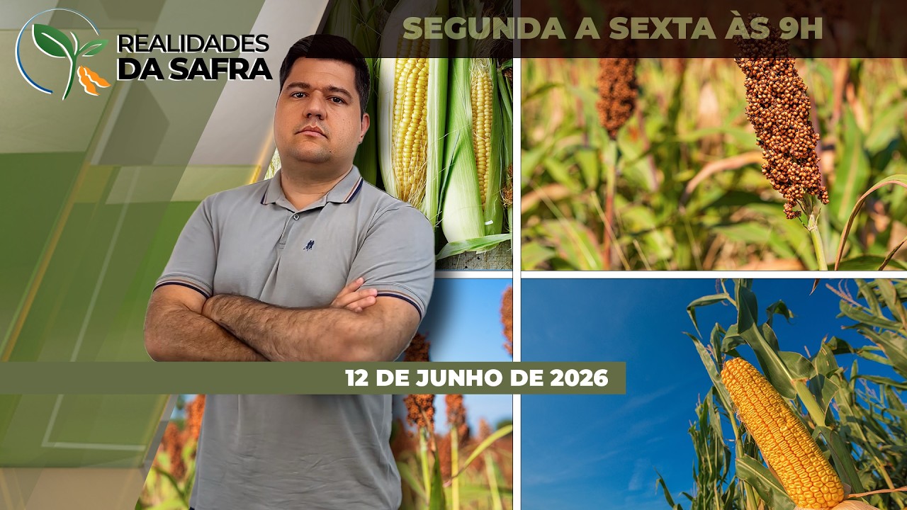 Colheitas de segunda safra começam com otimismo no Mato Grosso, mas perdas consolidadas...