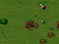 Caryn Lothar from Astera Tibia