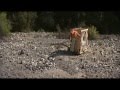 Eric Soth - Directing & Producing  Demo Reel