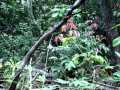 Marcelo Pressi - Enduro da Fadiga