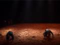 MURMURES, afro contemporary dance