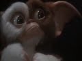 Gizmo kaka!