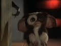 Gizmo kaka!