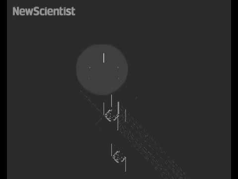 First Replicating Creature Spawned 