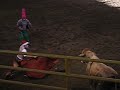 Costa Rican Rodeo