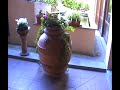 HOTEL ADLER CAVALIERI FIRENZE