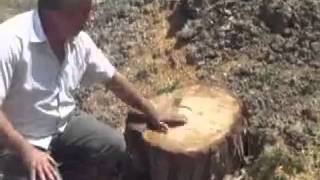 قرية العباسية  تدمير ثقافة العباسية 1).flv - YouTube