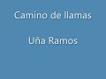 Uña Ramos- Camino de llamas