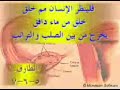 فيديو يتحدث عن الاعجاز العلمي في القرآن الكريم و اخباره عن النطفة الامشاج و تحديد جنس الجنين قبل 1400 عاما