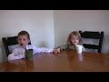 Young Democrats Argue - Barack vs Hillary = McCain Wins