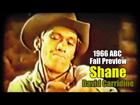 Collection: David Carradine