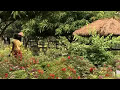 cambodia: child sex slavery  2of2   en kh 