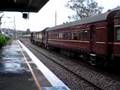4918 & 4908 on Rail Cruise.