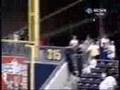 Amazing-Foul-Ball-Ca